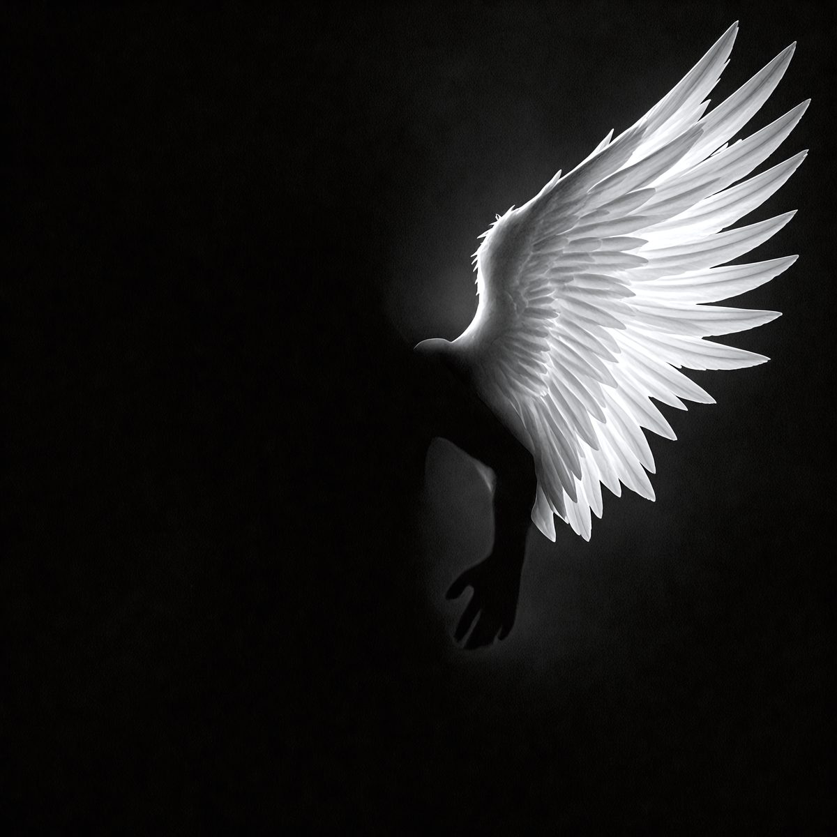 9236 - the-angel-and-the-shadow-a-luminous-angel-wing-contra_250708093122_00001.png